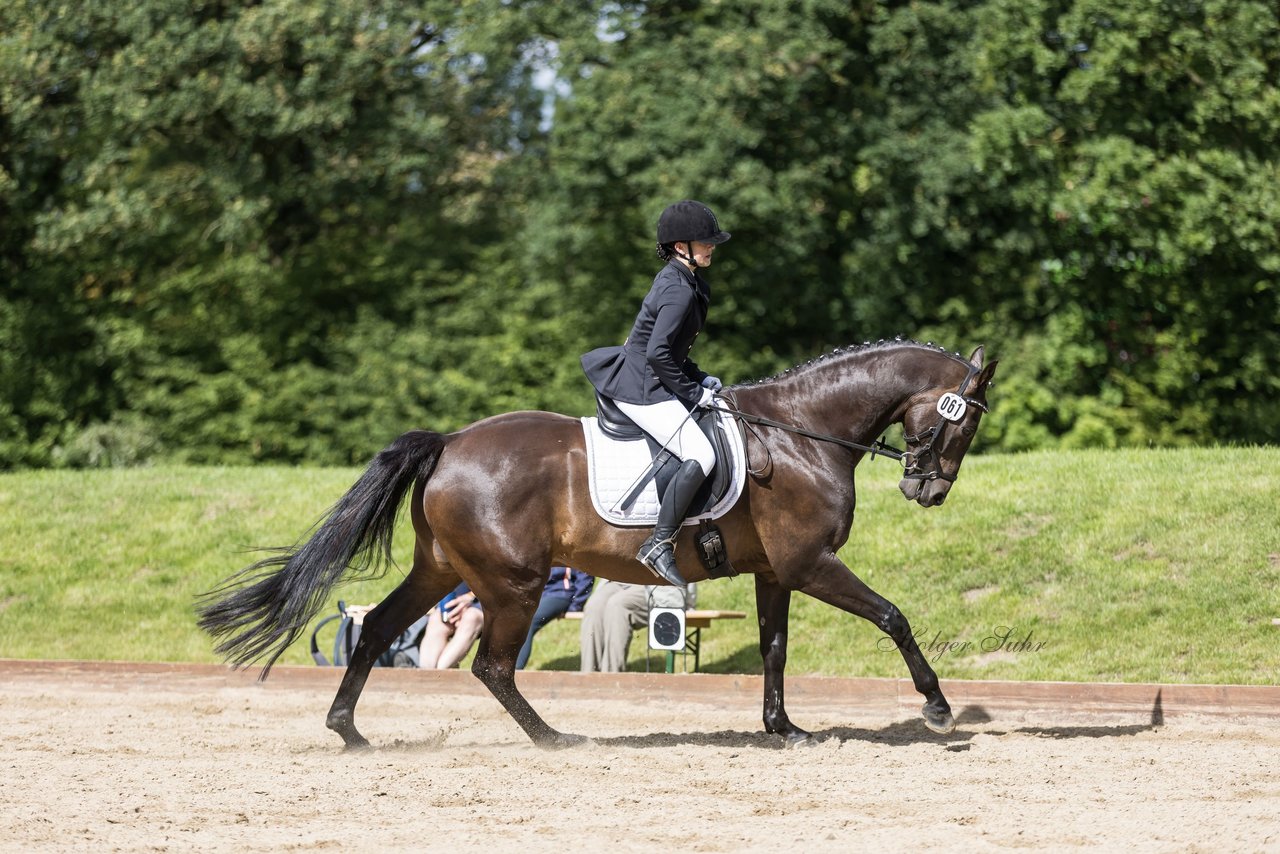 Bild 220 - Pony Akademie Turnier